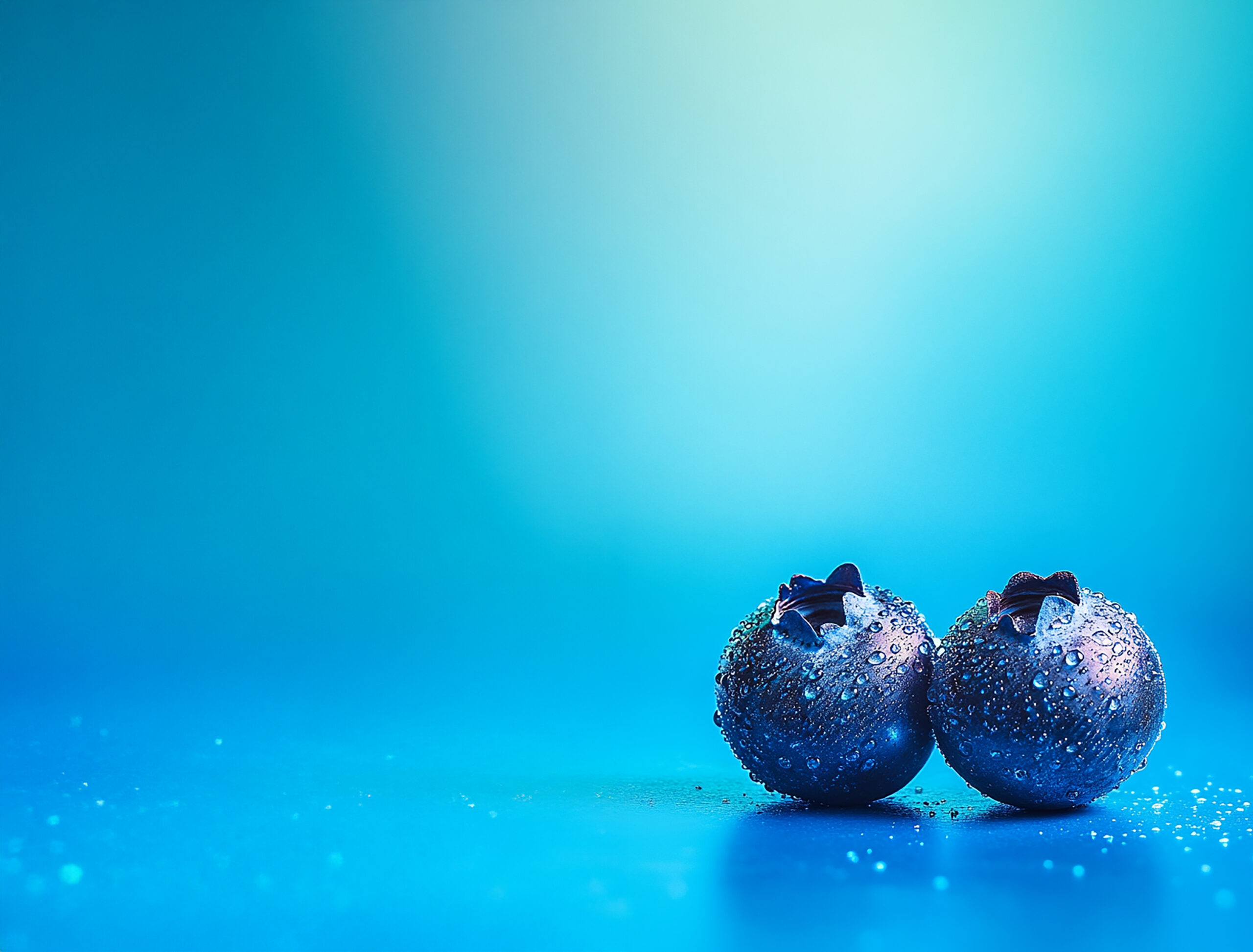 Zwei frische Blaubeeren