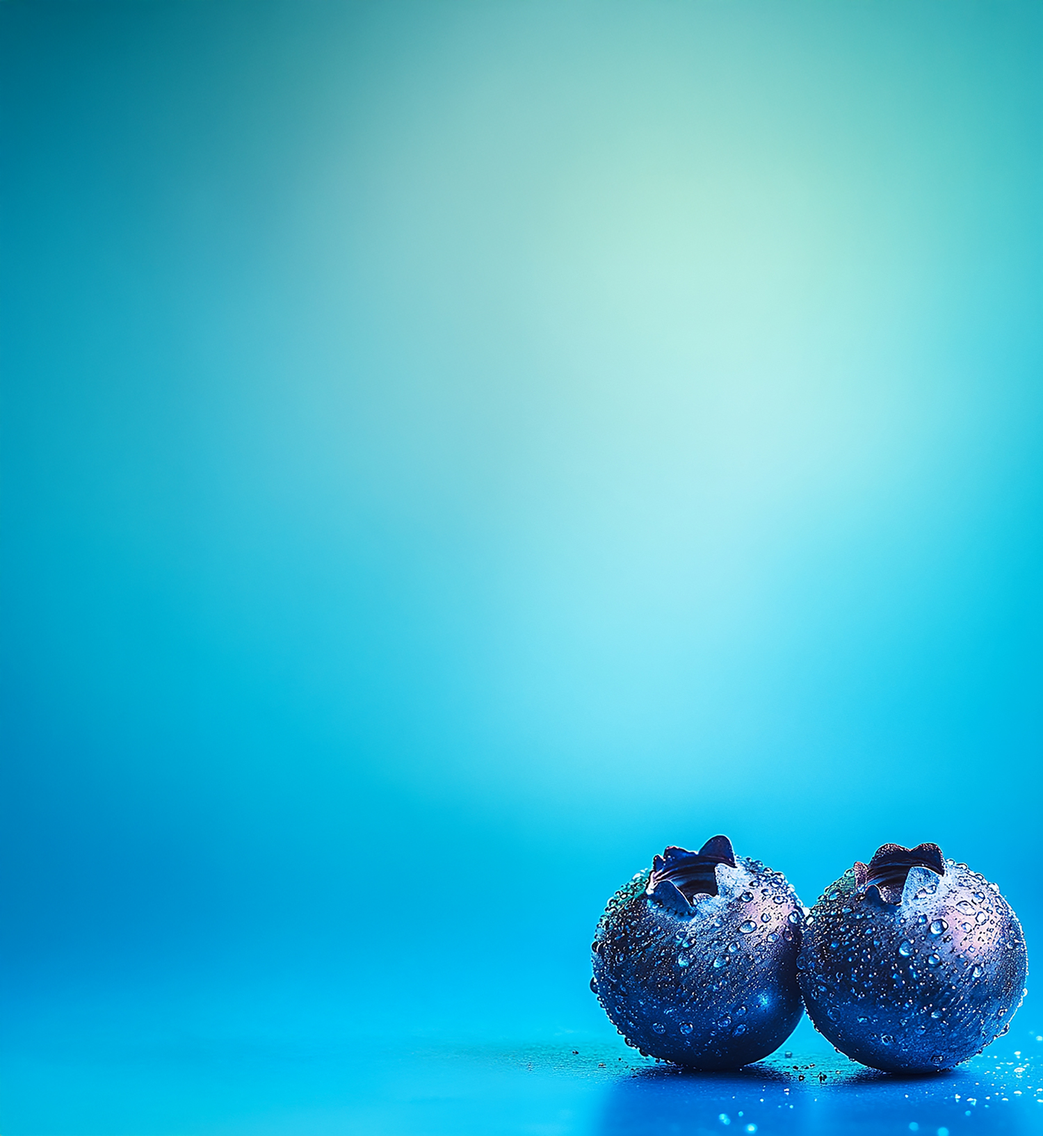 Zwei frische Blaubeeren