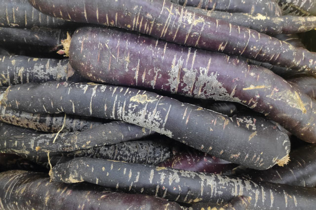 Schwarze Karotten