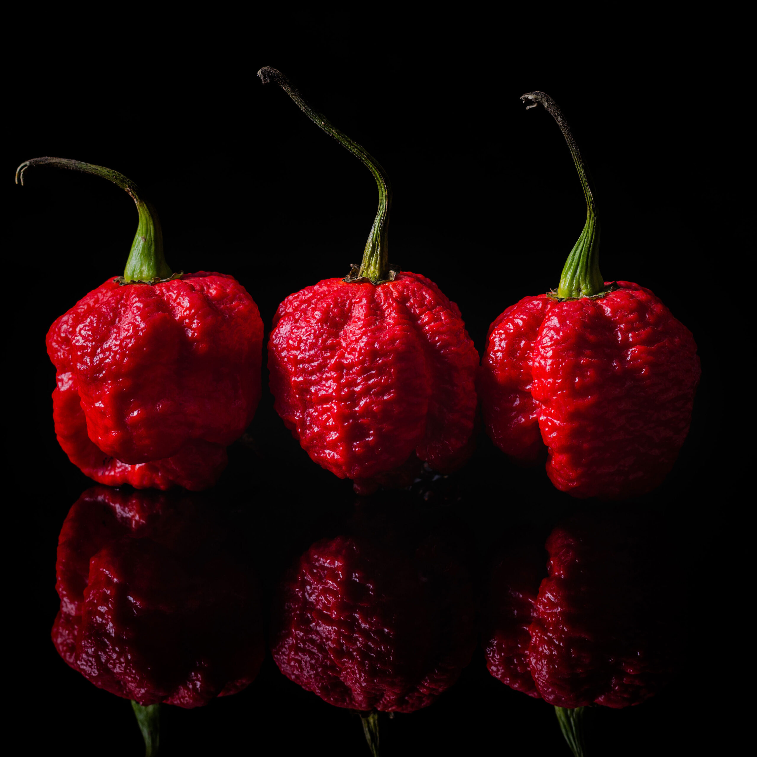 Carolina Reaper CF Foodservice