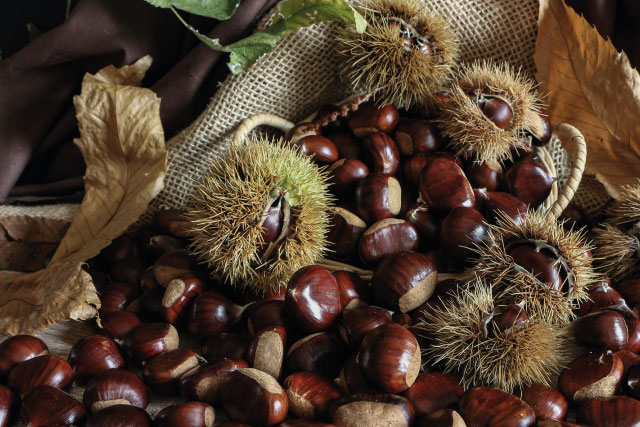 Maronenfrucht Customized Foodservice