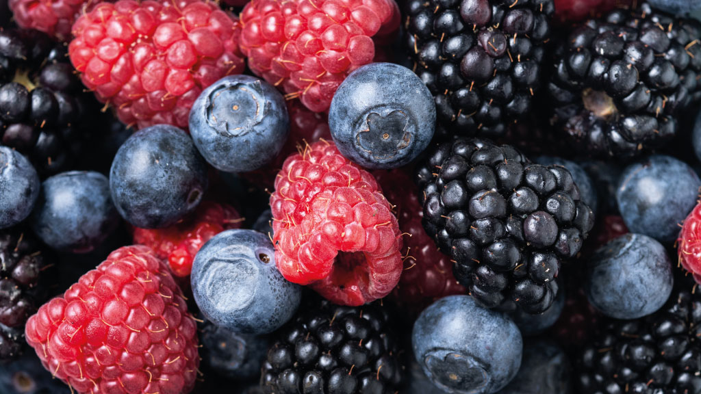 Beeren Customized Foodservice