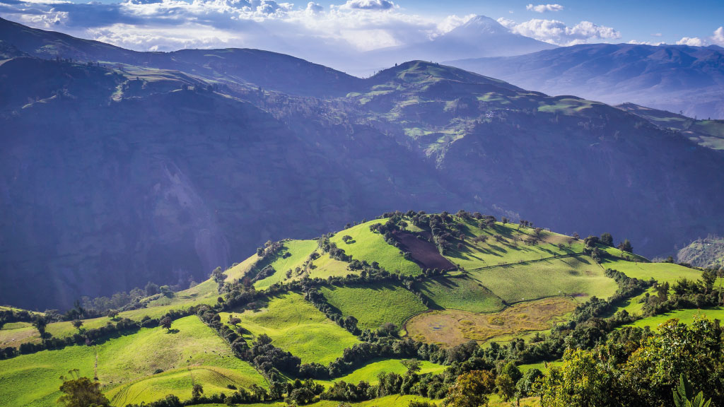 Anden Customized Foodservice