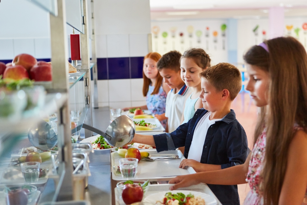 Vegane Ernährung in Schulen und Kita